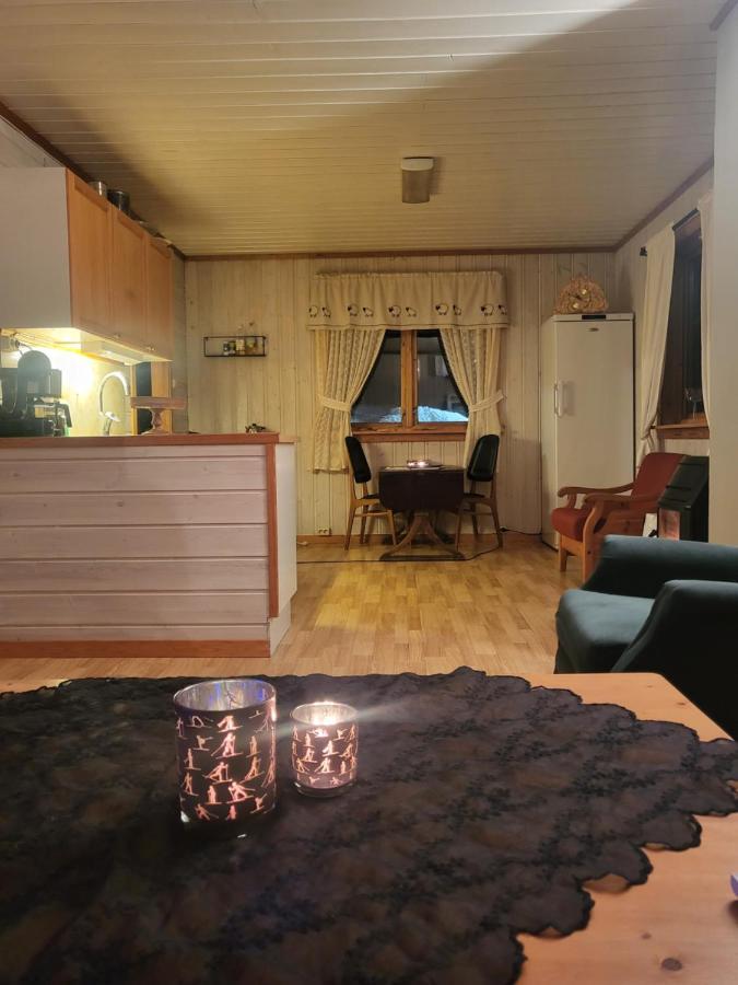 Appartement Leilighet Pa Gard à Sauland Extérieur photo