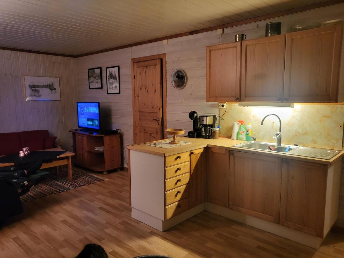 Appartement Leilighet Pa Gard à Sauland Extérieur photo
